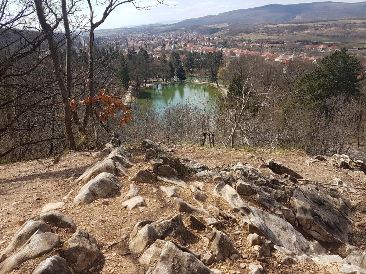 Ket Diofa Vendeghaz Ξενοδοχείο Felsőtárkány Εξωτερικό φωτογραφία